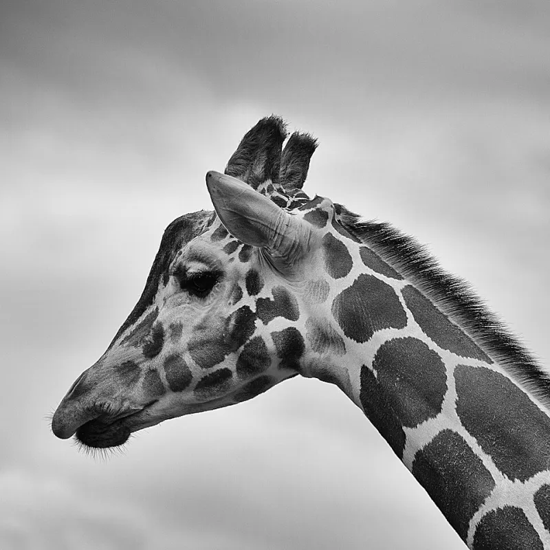 Giving with Intention: How to Sustain Your Philanthropic Commitment Without Burning Out